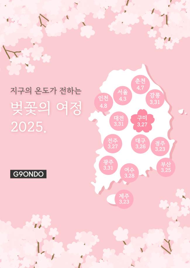 지구의 온도가 전하는 벚꽃의 여정 2025