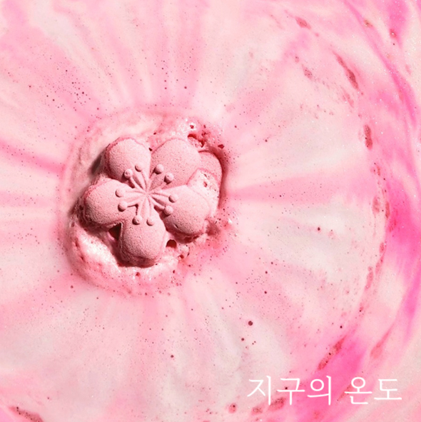 지구의온도 벚꽃 배쓰밤 뷰티 브랜드 성수 팝업 런칭